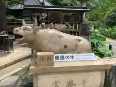 三室戸寺(京都府)