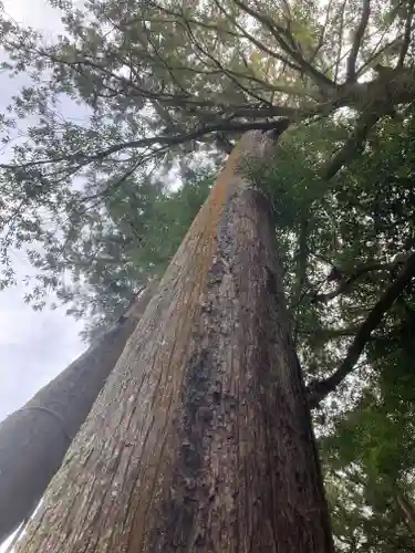 大神神社(奈良県)