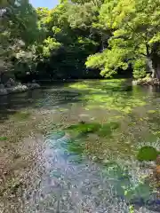 富士山本宮浅間大社(静岡県)