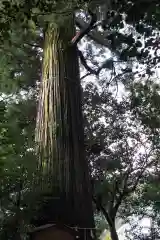 須佐神社の自然