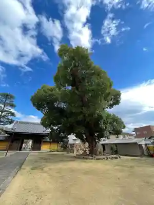 金倉寺(香川県)