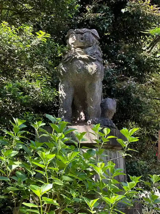 赤坂氷川神社(東京都)