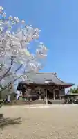 慈恩寺(埼玉県)