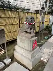 高円寺氷川神社の狛犬