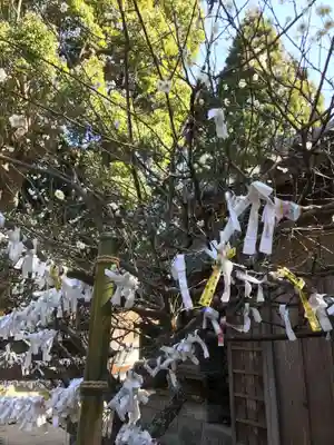 櫻井神社(福岡県)