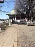 千葉寺の{uncategorized: "未分類", other: "その他", undefined: "問題あり", building: "その他建物", grave: "お墓", sacred_gate: "鳥居", guardian: "狛犬", statue: "像", buddha: "仏像", history: "歴史", nature: "自然", garden: "庭園", animal: "動物", pagoda: "塔", temizu: "手水舎", mountain_gate: "山門・神門", sanctuary: "本殿・本堂", subordinate: "末社・摂社", art: "芸術", scenery: "景色", jizo: "地蔵", ema: "絵馬", goshuin: "御朱印", omikuji: "おみくじ", items: "授与品その他", amulet: "お守り", goshuincho: "御朱印帳", eats: "食事", festival: "お祭り", votive_dance: "神楽", shichigosan: "七五三参", wedding: "結婚式", experience: "体験その他", initially: "初詣", around: "周辺", anti_infection: "感染症対策"}