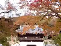 興聖寺(興聖寶林禅寺)(京都府)