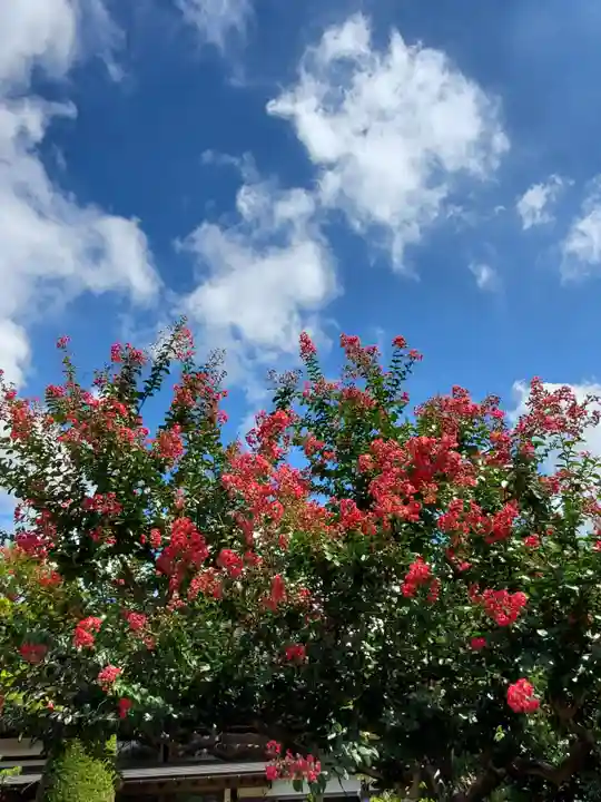 長泉寺(福島県)