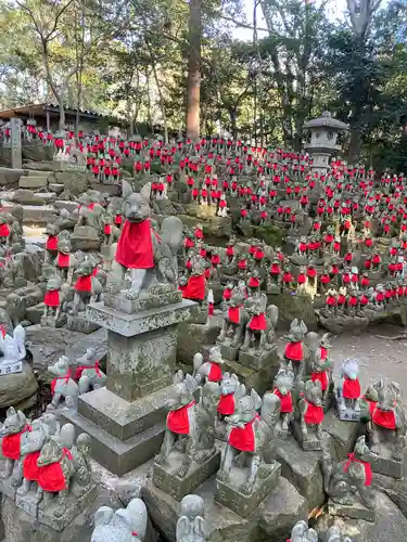 豊川閣　妙厳寺の狛犬