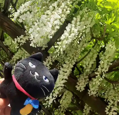 亀戸 香取神社(東京都)