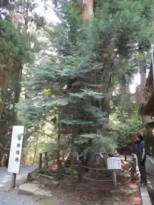 砥鹿神社(奥宮)(愛知県)