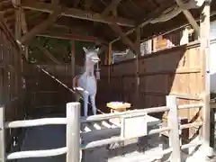 針綱神社(愛知県)