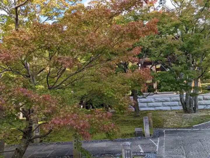 智積院(京都府)