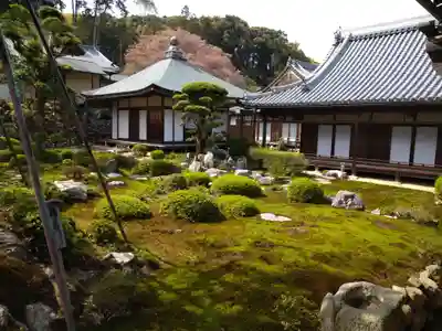 金剛寺(大阪府)
