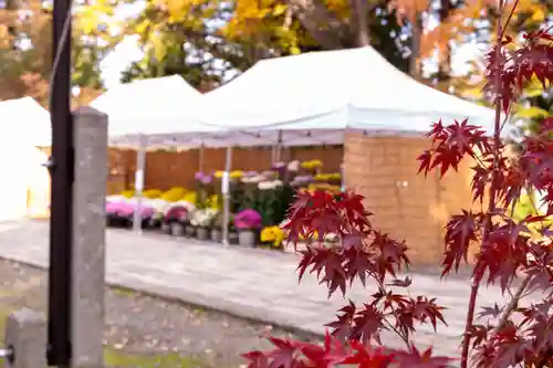 武水別神社(長野県)