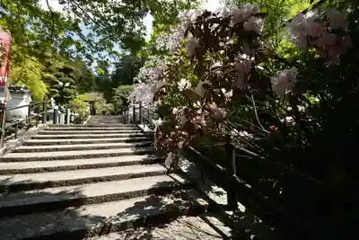 岡寺(龍蓋寺)(奈良県)
