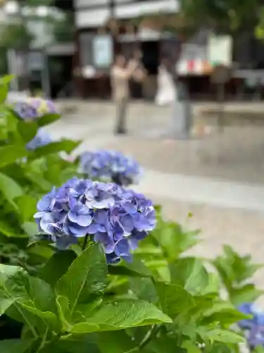 三輪神社(愛知県)