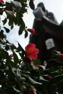 良福寺(奈良県)