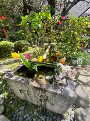 宝蔵寺の手水舎