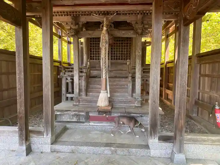 若宮八幡神社(福井県)