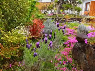寿量山 速成寺(奈良県)