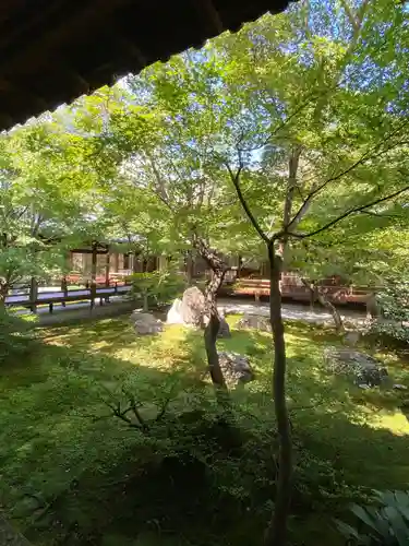 建仁寺（建仁禅寺）(京都府)