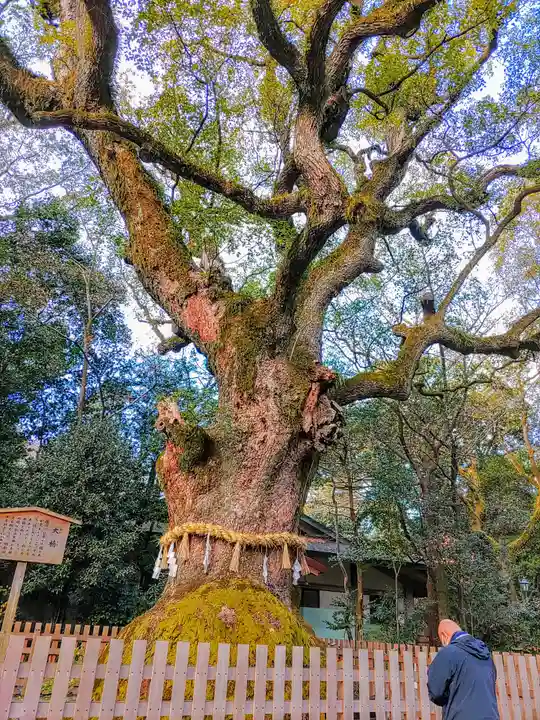 熱田神宮の自然
