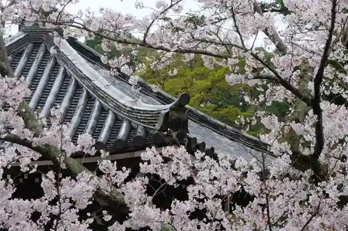 粉河寺(和歌山県)