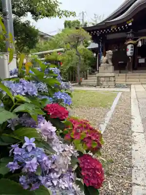 一宮神社(兵庫県)