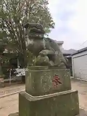 高津諏訪神社の狛犬