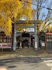 波除神社（波除稲荷神社）の鳥居