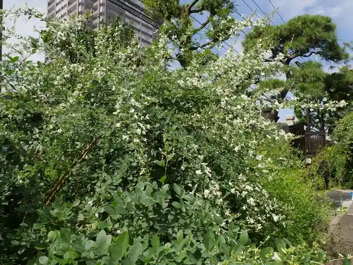 龍眼寺(萩寺)の自然