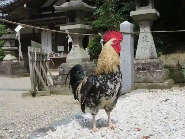 石上神宮(奈良県)