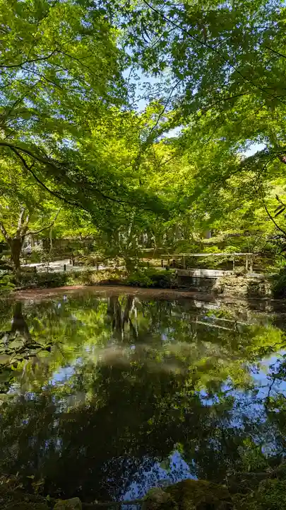 圓光寺(京都府)