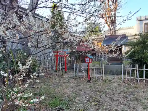 飯玉神社(群馬県)