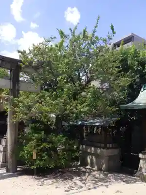 菅大臣神社の自然