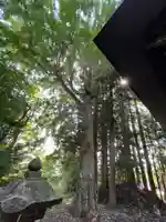 龍宝寺(福島県)