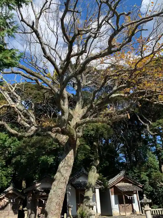 大岩神明宮の自然