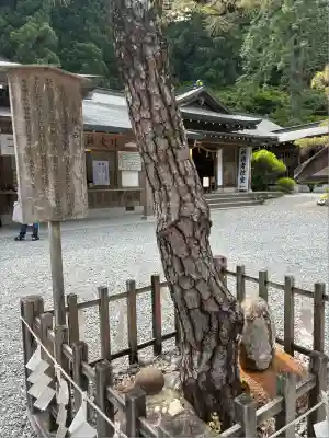 小國神社(静岡県)