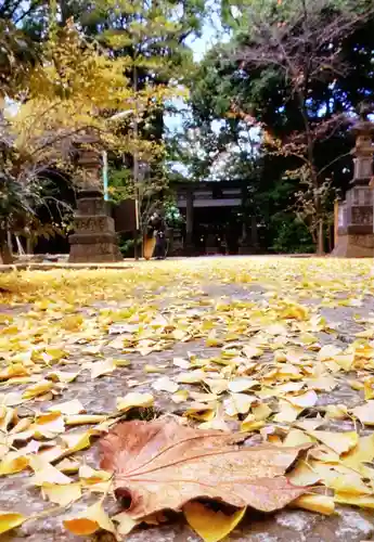 赤坂氷川神社の御朱印