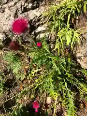 手力雄神社の自然