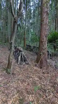 荒立神社(宮崎県)