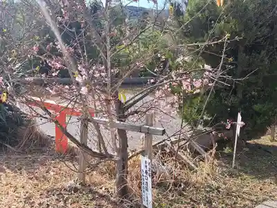 諸津観音(長崎県)