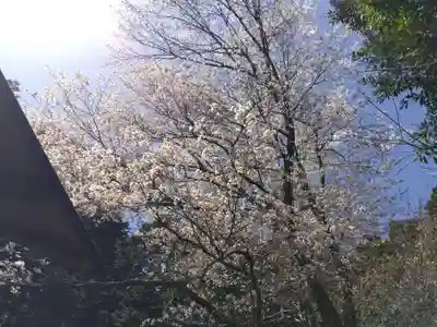 山国護国神社(京都府)