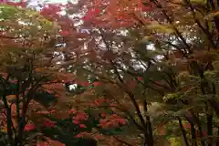 土津神社｜こどもと出世の神さまの自然