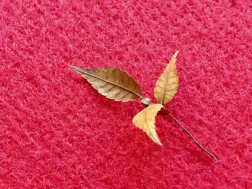 長壽寺（長寿寺）の自然