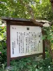 円照寺の歴史