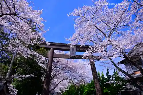 冨士御室浅間神社(山梨県)