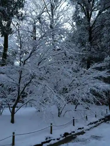 賀茂御祖神社（下鴨神社）の自然