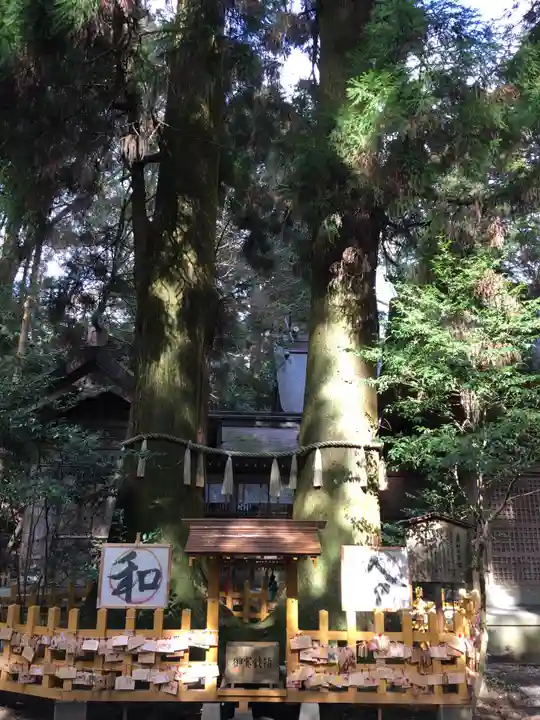 高千穂神社の自然